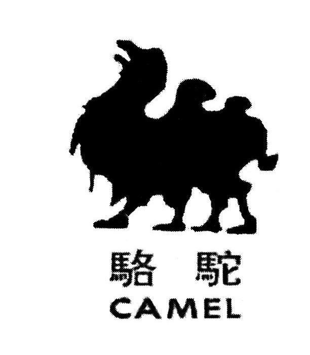 骆驼 CAMEL