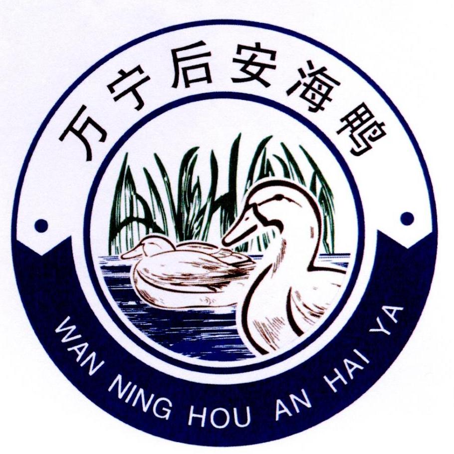 万宁后安海鸭
